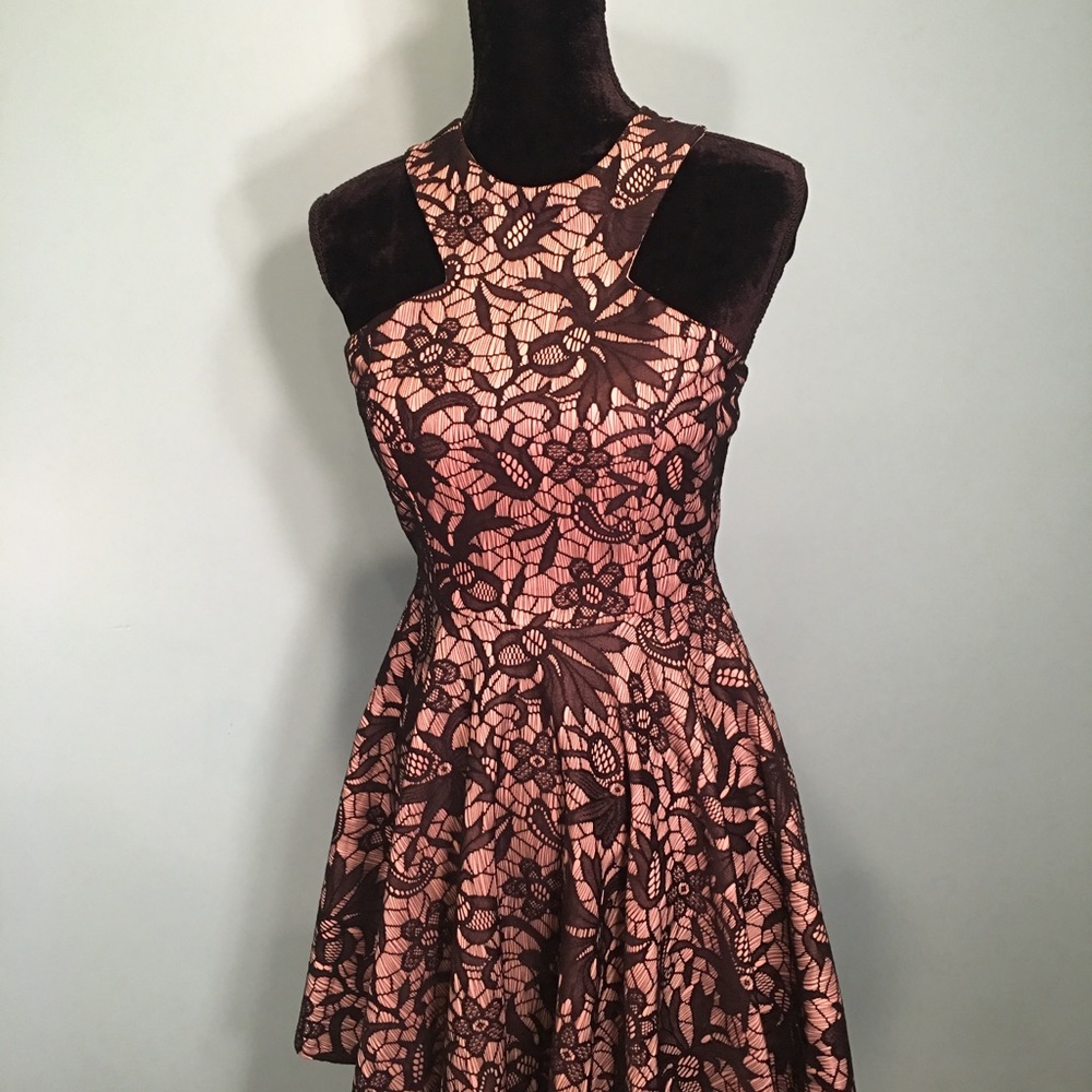 Windsor Black Lace Nude Dress Size M